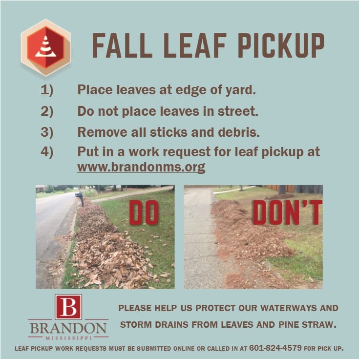 Pick up leaves